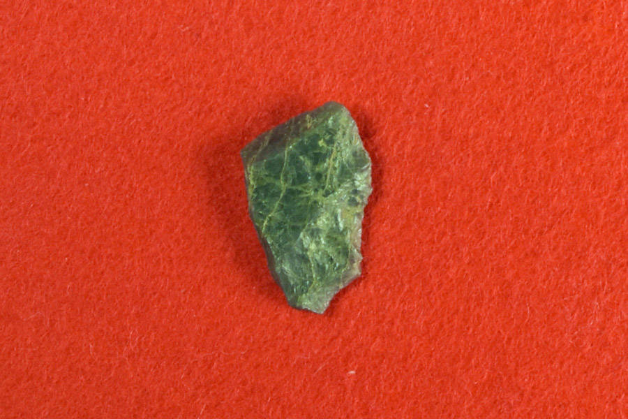 画像 大新田遺跡2