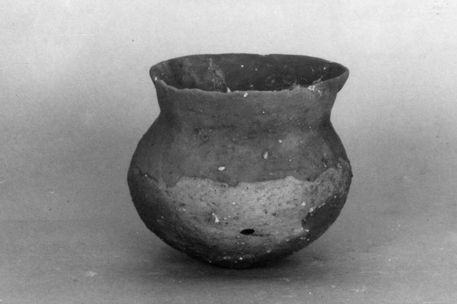 画像 稲生城跡出土品2