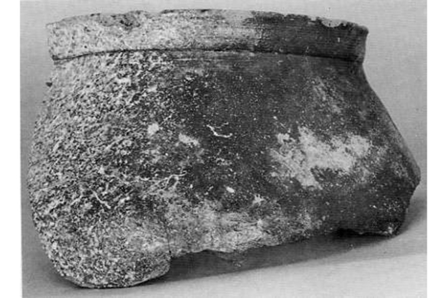 画像 稲生河内浦遺跡出土品1