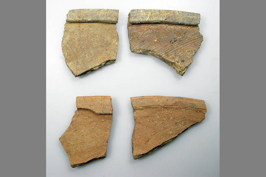 画像 甲懸遺跡出土品2