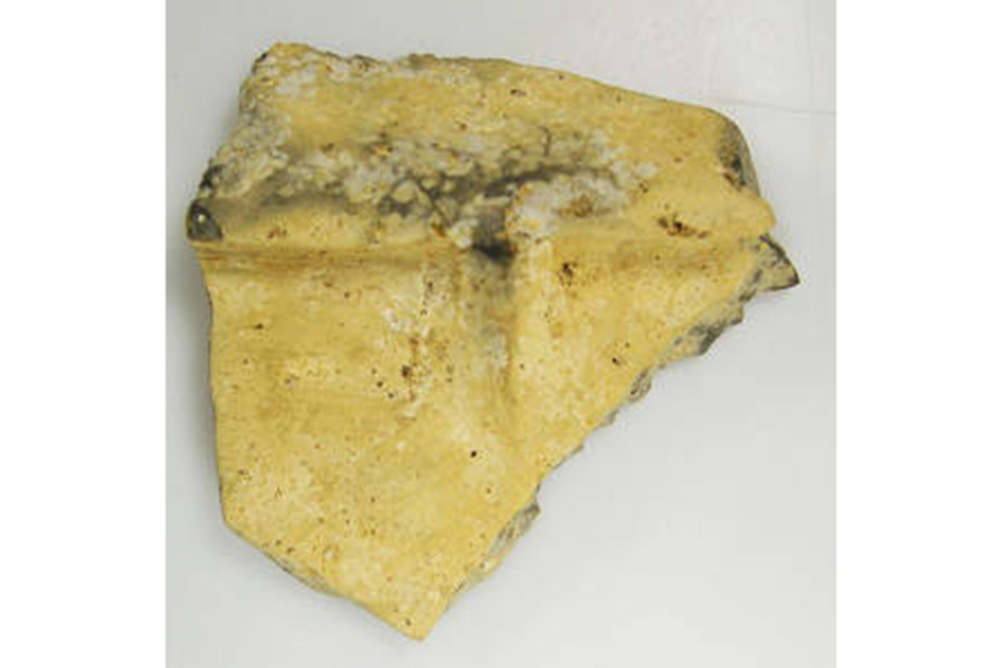 画像 甲懸遺跡出土品3