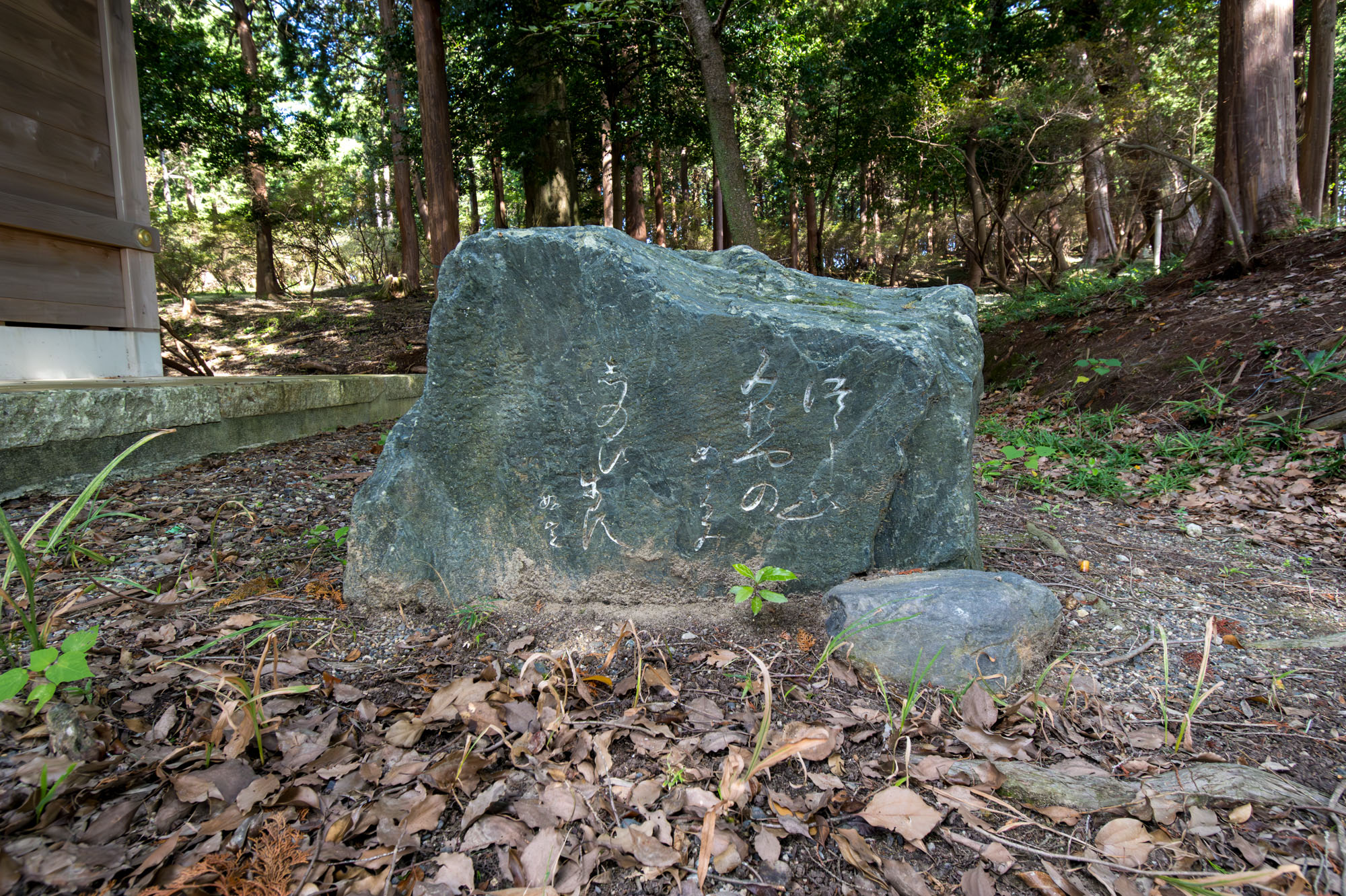 画像  伊奈冨神社  大井好定句碑