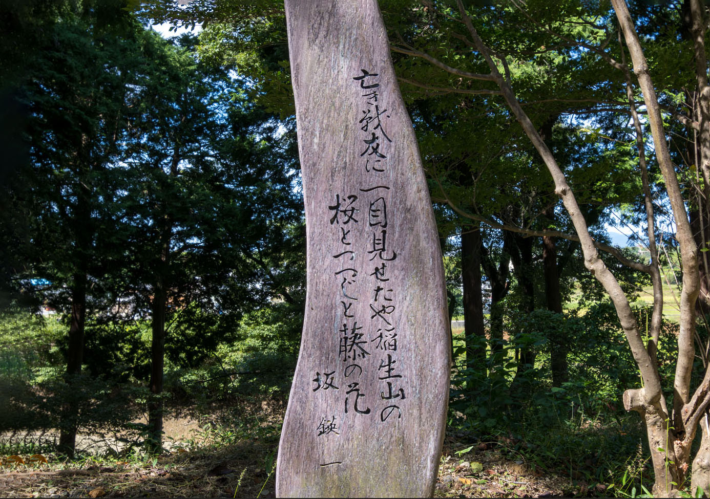 画像　坂鍈一歌碑  伊奈冨神社 