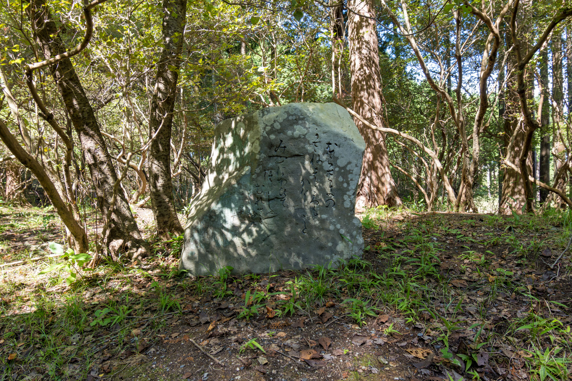 画像  吉崎金弥歌碑 伊奈冨神社 