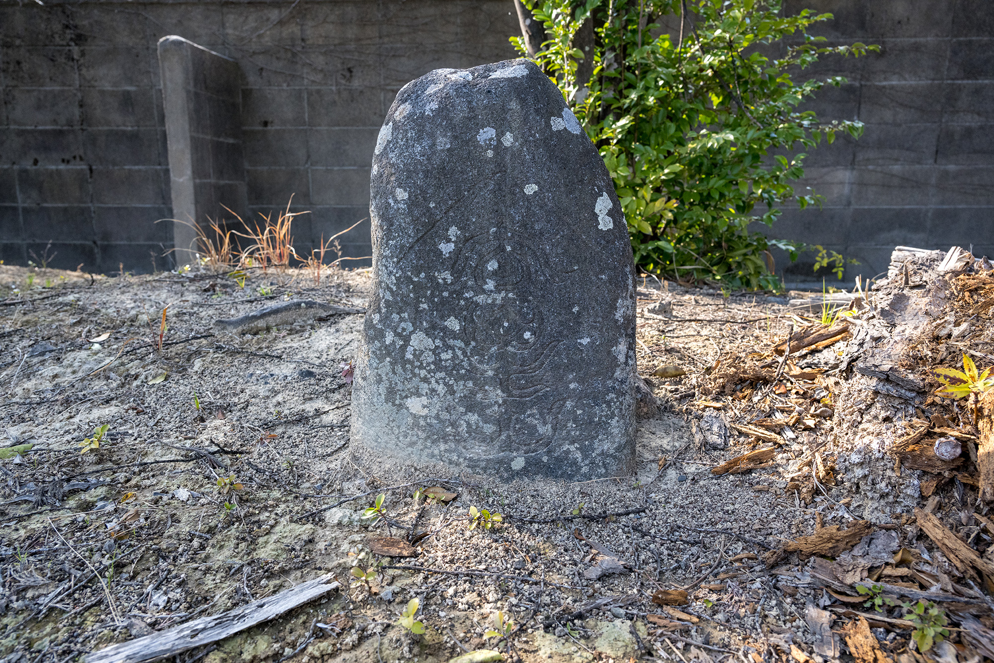 画像 神宮寺富士見石2