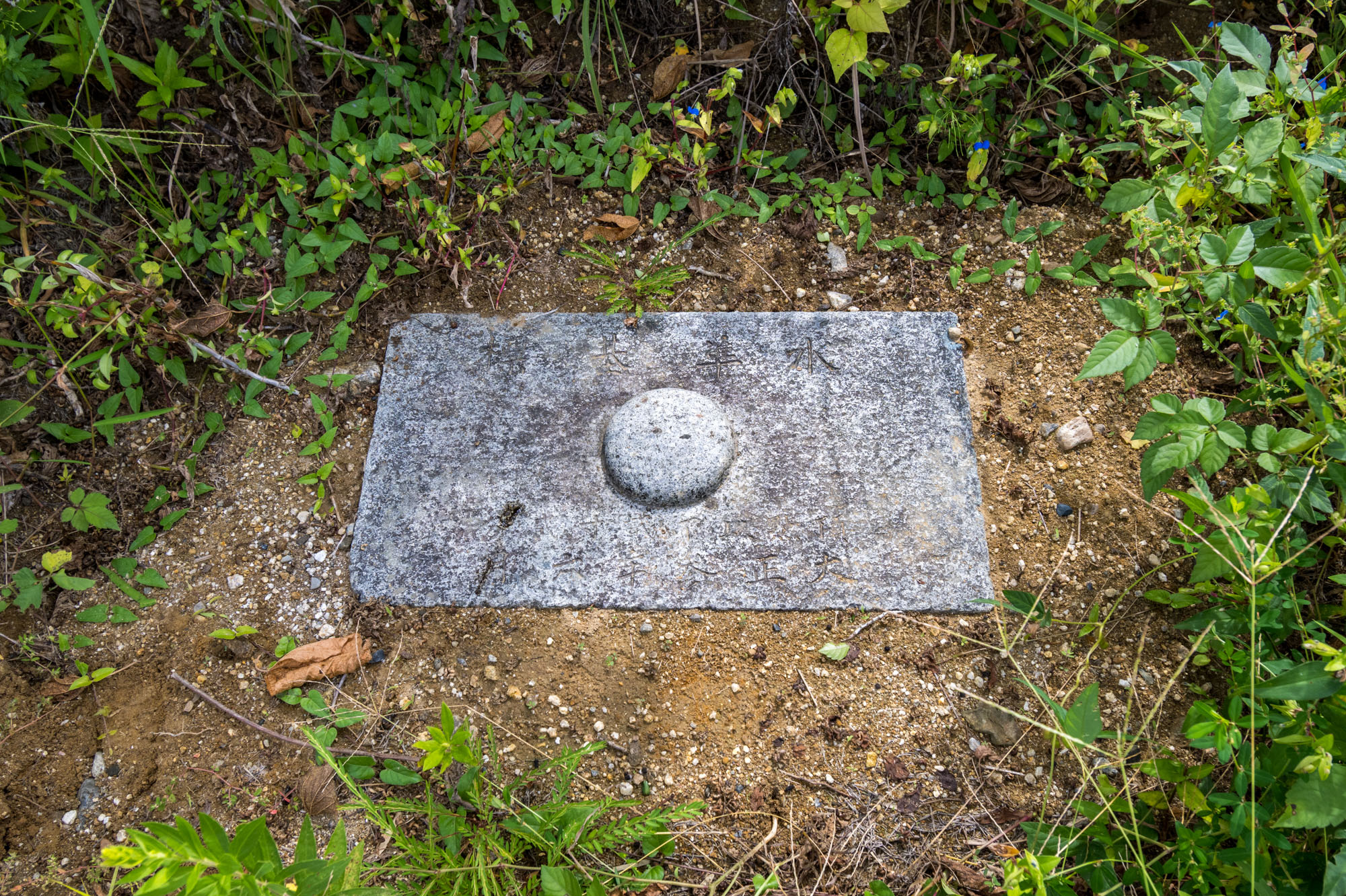 画像 水準基標 2