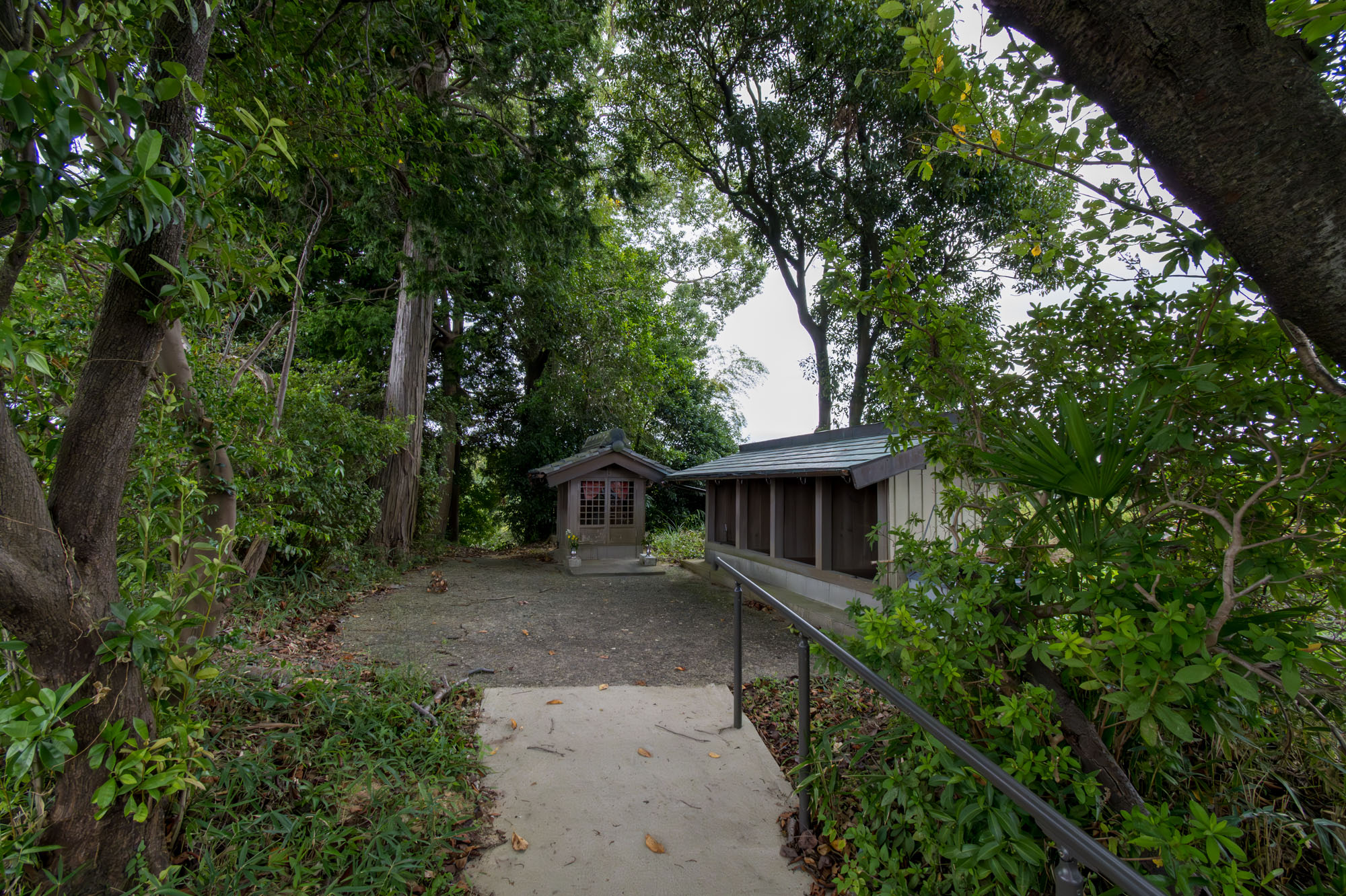 稲生西 丸岡さん8