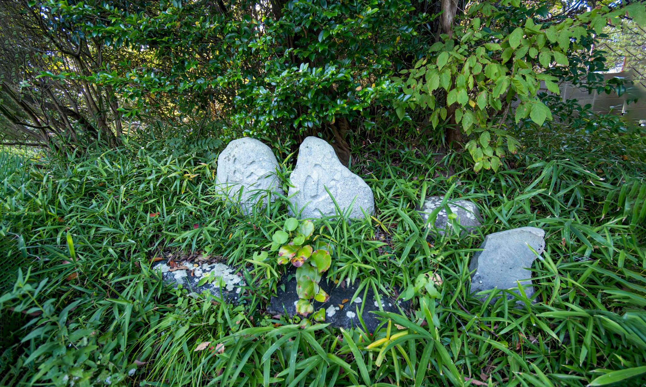 富士見石 イメージ