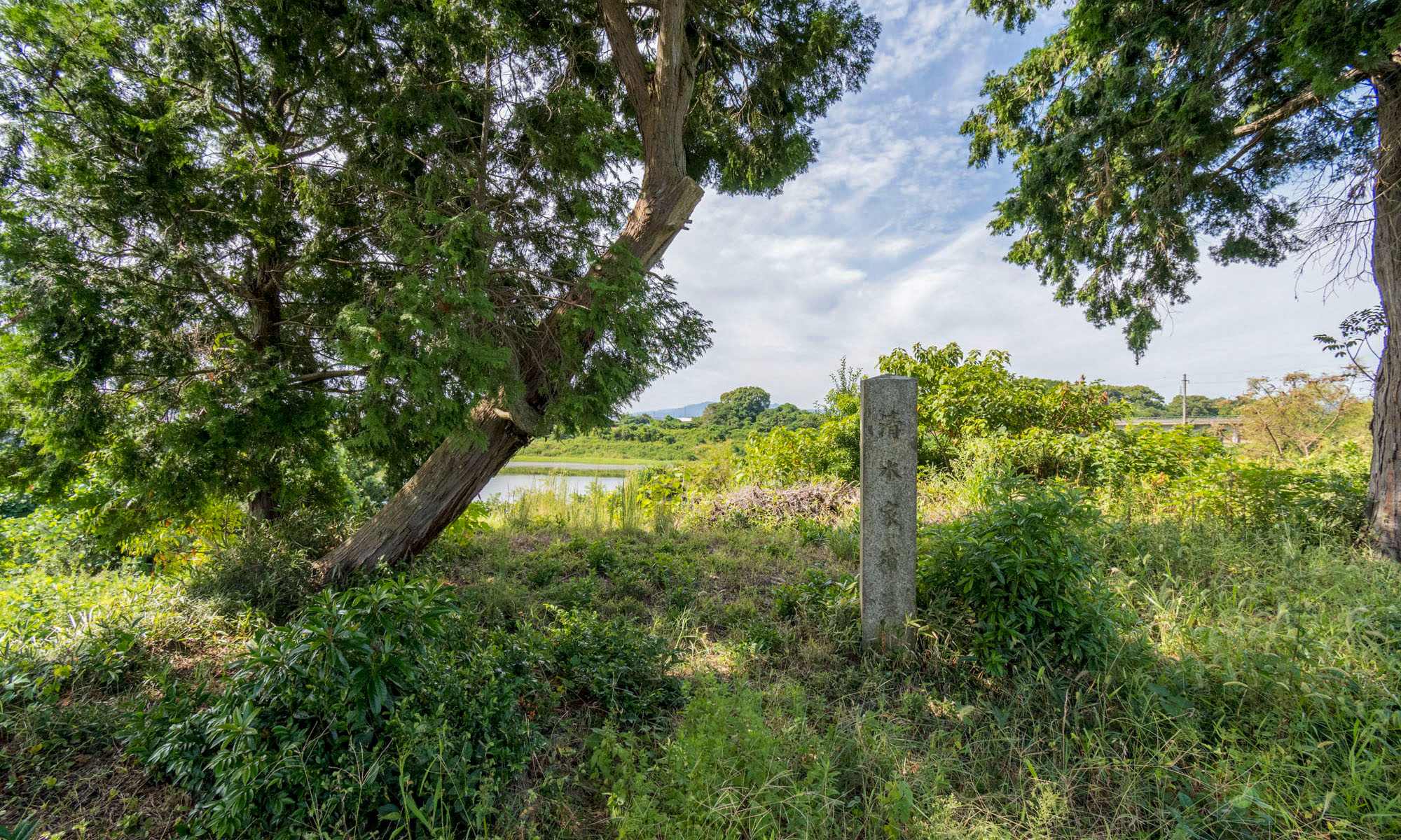  清水家の墓碑  イメージ